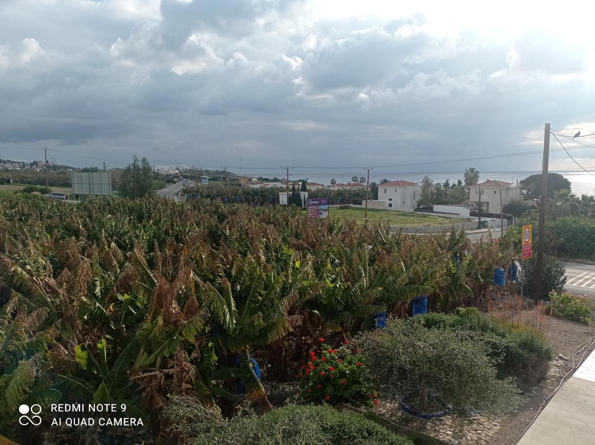 Blue Seaview Appartments Paphos Exterior foto